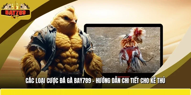 Các Loại Cược Đá Gà BAY789 - Hướng Dẫn Chi Tiết Cho Kê Thủ
