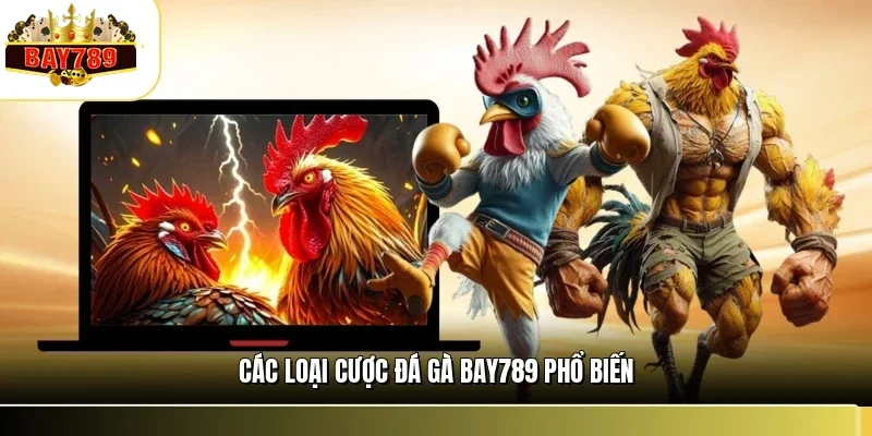 Các loại cược đá gà BAY789 phổ biến