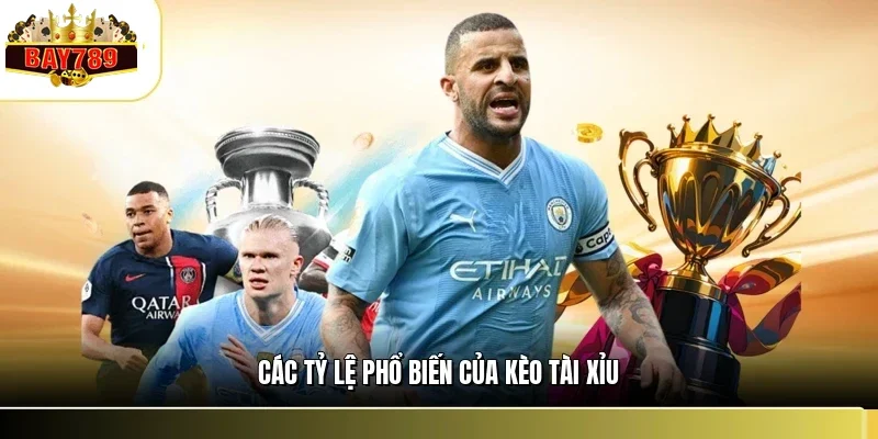 Các tỷ lệ phổ biến của kèo tài xỉu