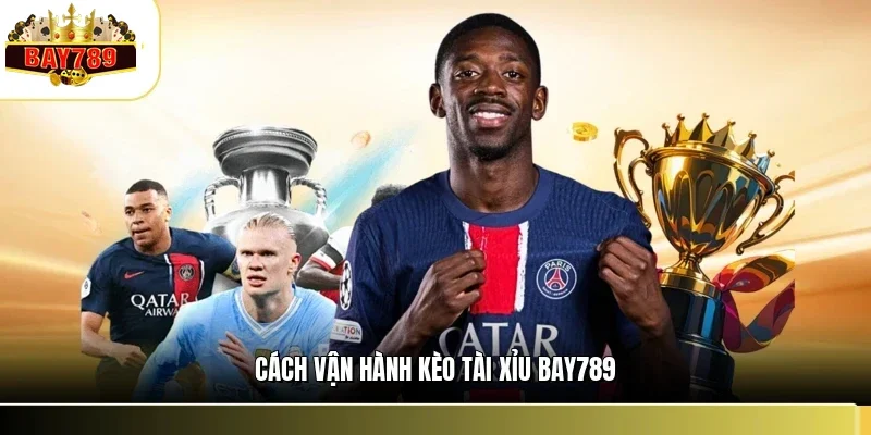 Cách vận hành kèo tài xỉu BAY789