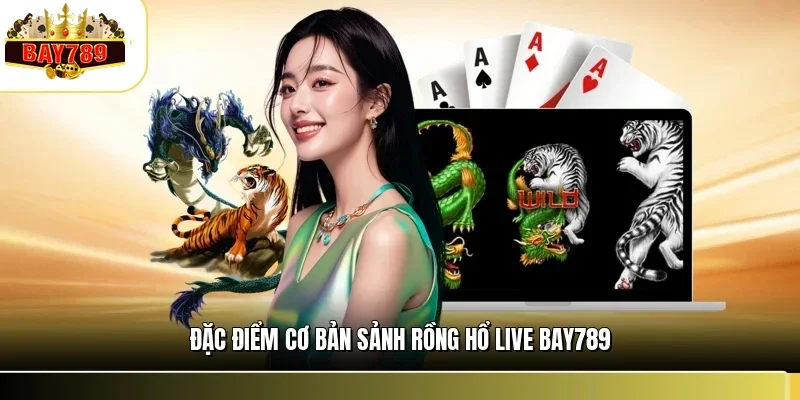 Đặc điểm cơ bản sảnh rồng hổ live BAY789