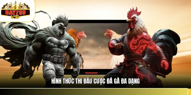 Hình thức thi đấu cược đá gà đa dạng