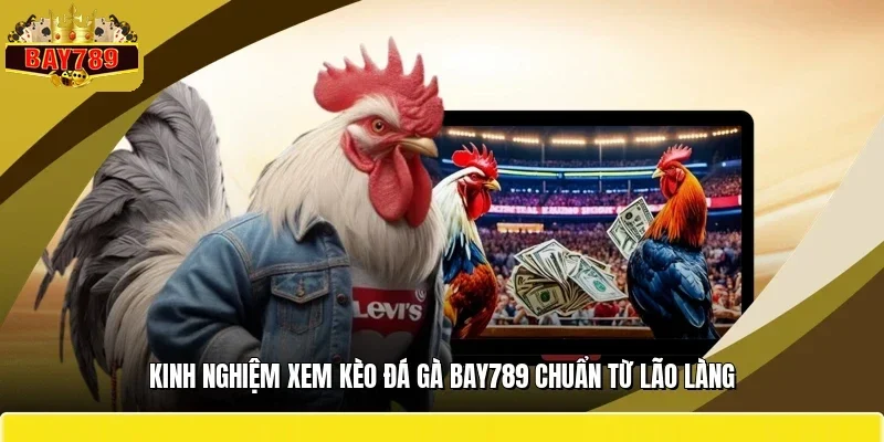 Kinh Nghiệm Xem Kèo Đá Gà BAY789 Chuẩn Từ Lão Làng