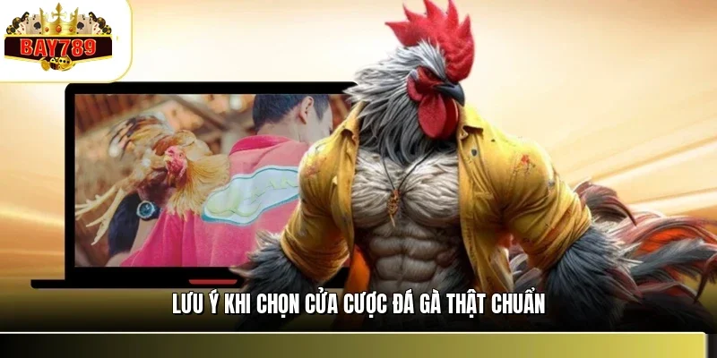 Kinh Nghiệm Xem Kèo Đá Gà BAY789 Chuẩn Từ Lão Làng 3 Lưu ý khi chọn cửa cược đá gà thật chuẩn