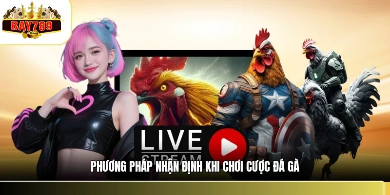Đá Gà BAY789 3 Phương pháp nhận định khi chơi cược đá gà