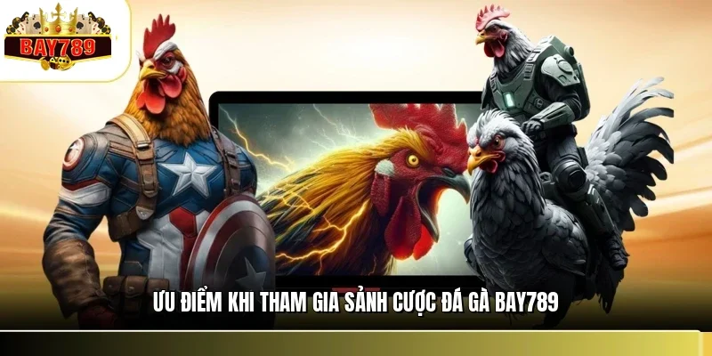 Đá Gà BAY789 1 Ưu điểm khi tham gia sảnh cược đá gà BAY789